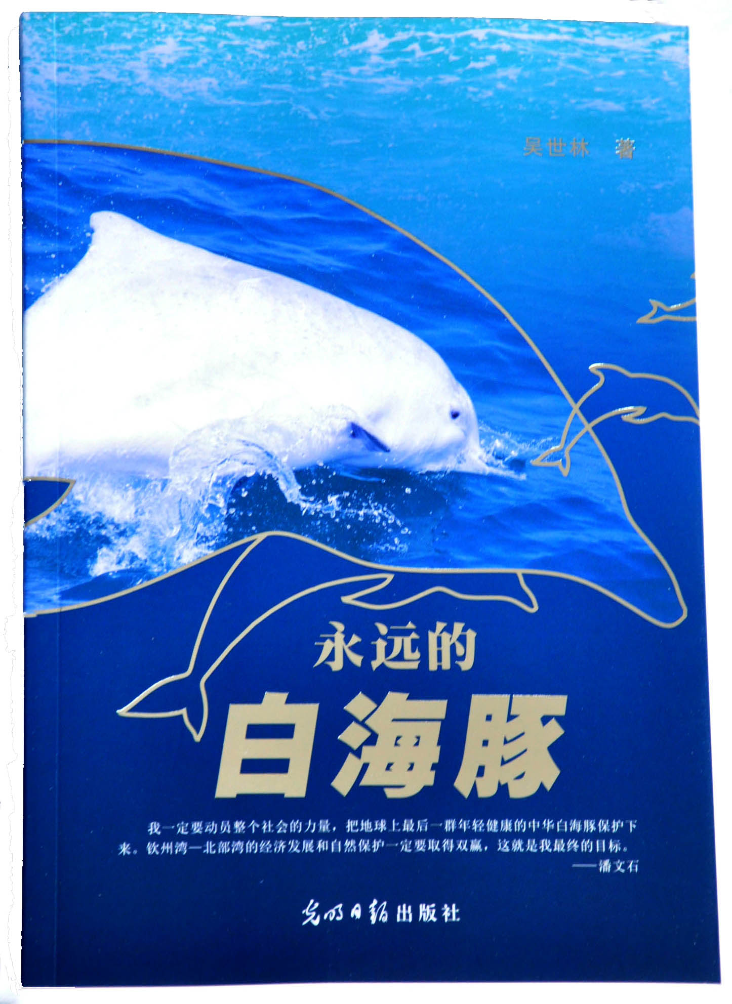 永遠(yuǎn)的白海豚1(?。?jpg